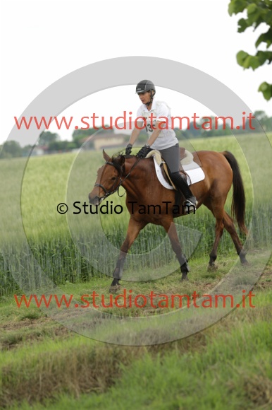 MAT_6689.JPG