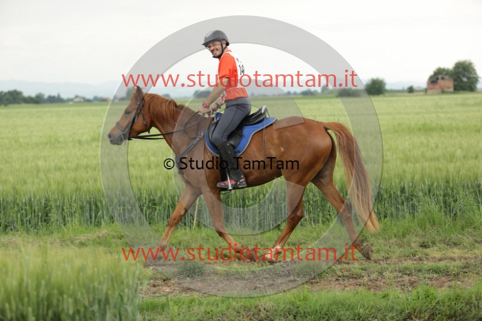 MAT_6692.JPG