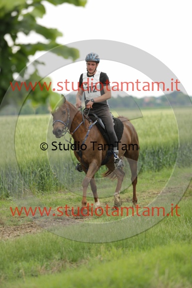 MAT_6724.JPG