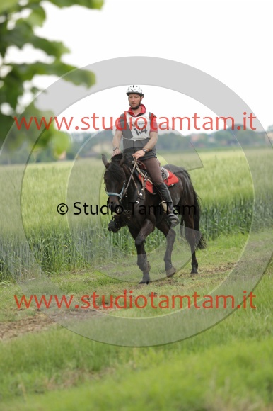 MAT_6725.JPG