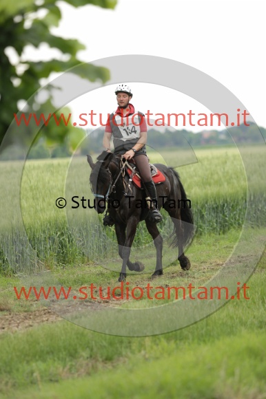 MAT_6726.JPG