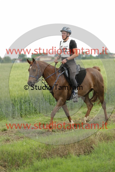 MAT_6729.JPG