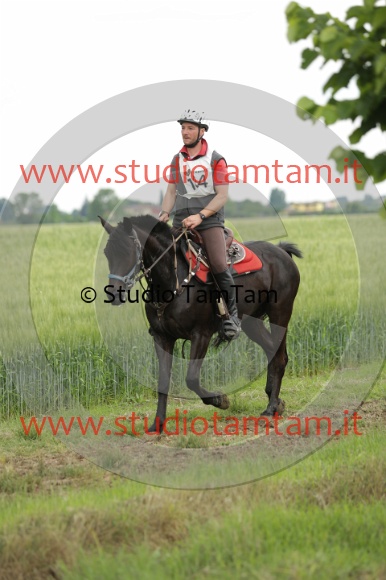 MAT_6731.JPG