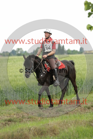MAT_6732.JPG