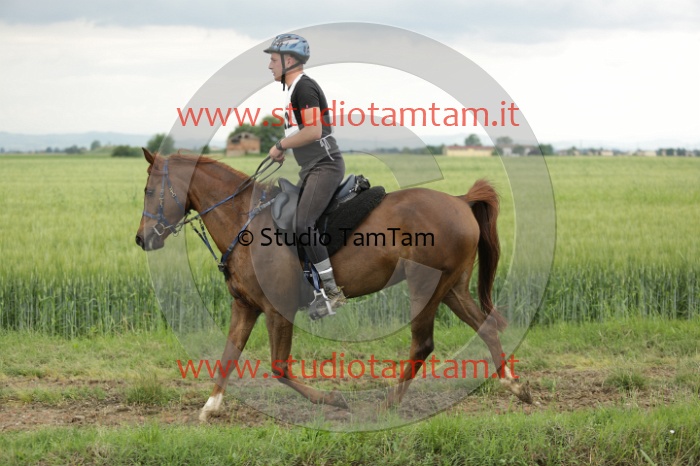 MAT_6735.JPG
