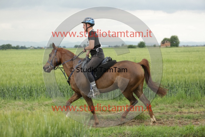 MAT_6738.JPG