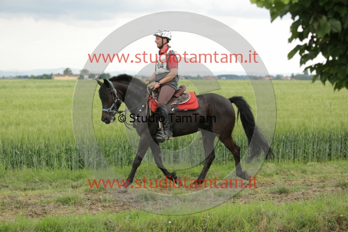 MAT_6739.JPG