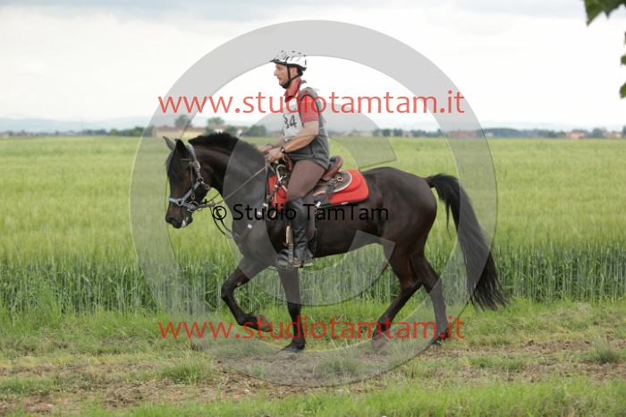 MAT_6740.JPG