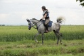 MAT_6424