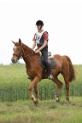 MAT_6462