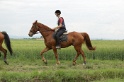 MAT_6471
