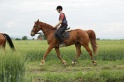 MAT_6474