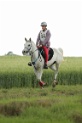 MAT_6582