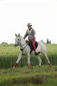 MAT_6584