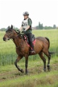 MAT_6641