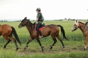 MAT_6652