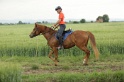 MAT_6691