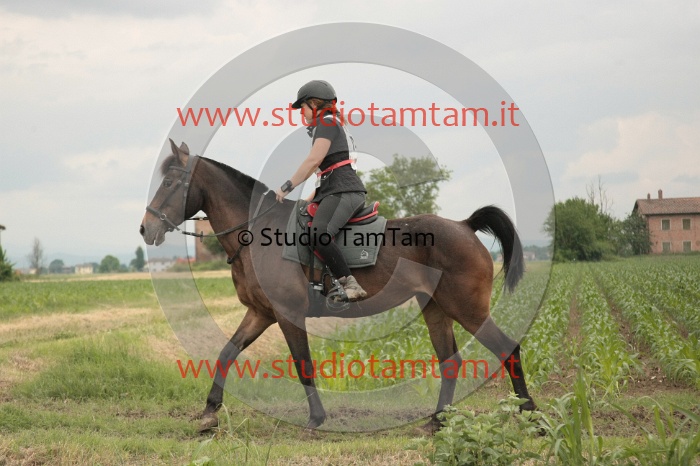 IMGB6481.JPG