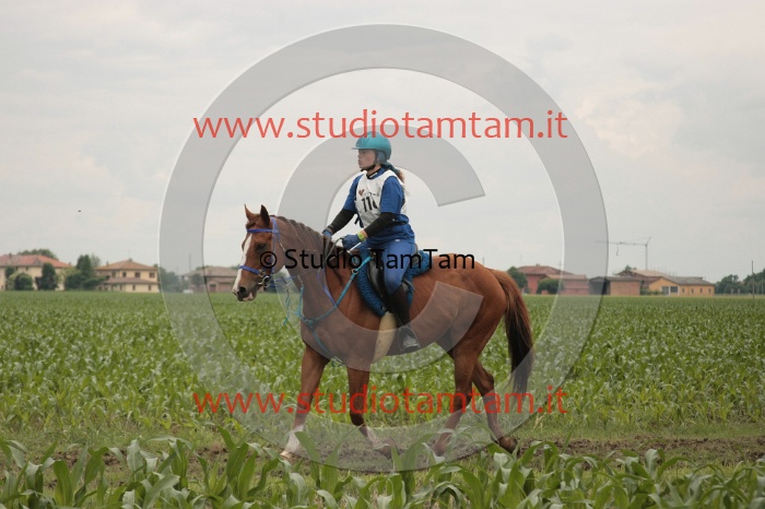 IMGB6579.JPG