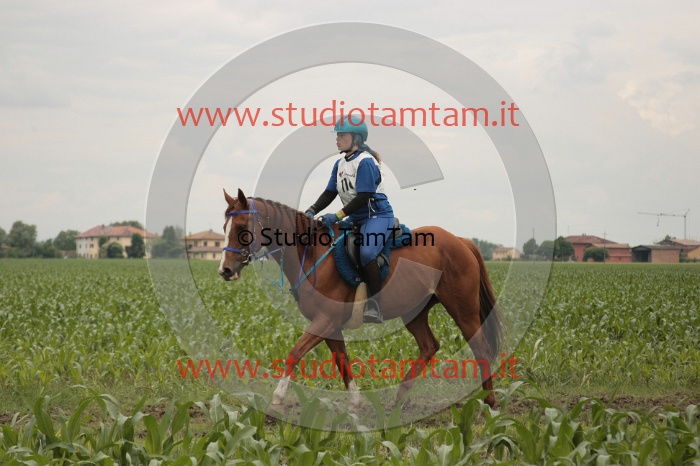 IMGB6581.JPG