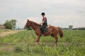 IMGB6523