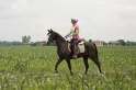IMGB6610