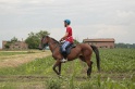 IMGB6623