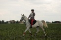 IMGB6707