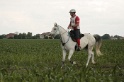 IMGB6718