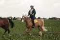 IMGB6796