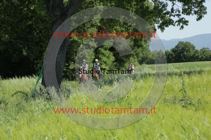 MAT_2785.JPG