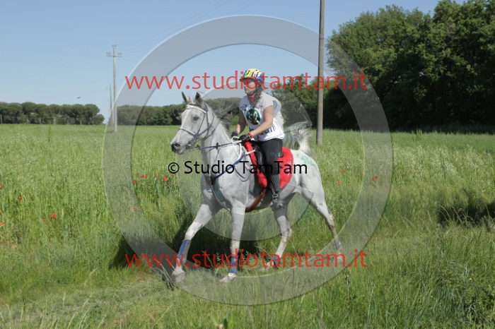 MAT_2812.JPG