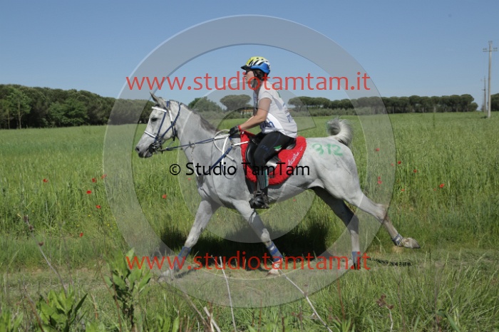 MAT_2816.JPG