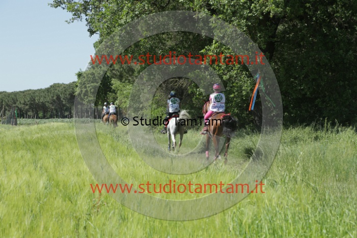 MAT_2826.JPG