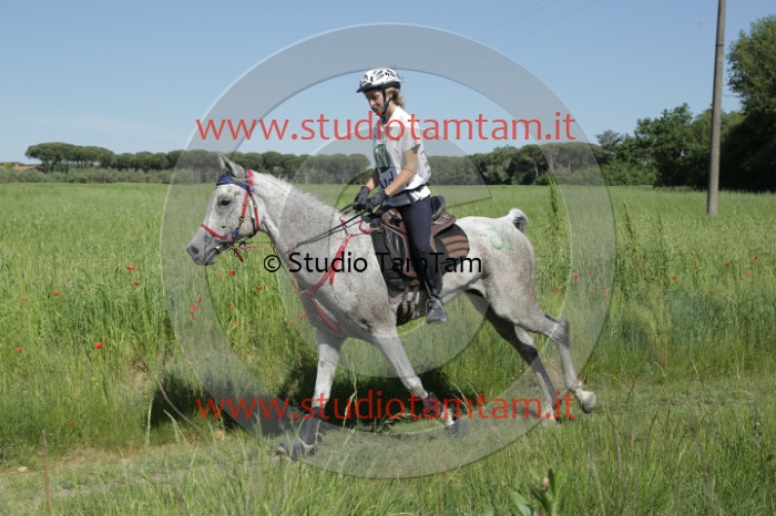 MAT_2852.JPG