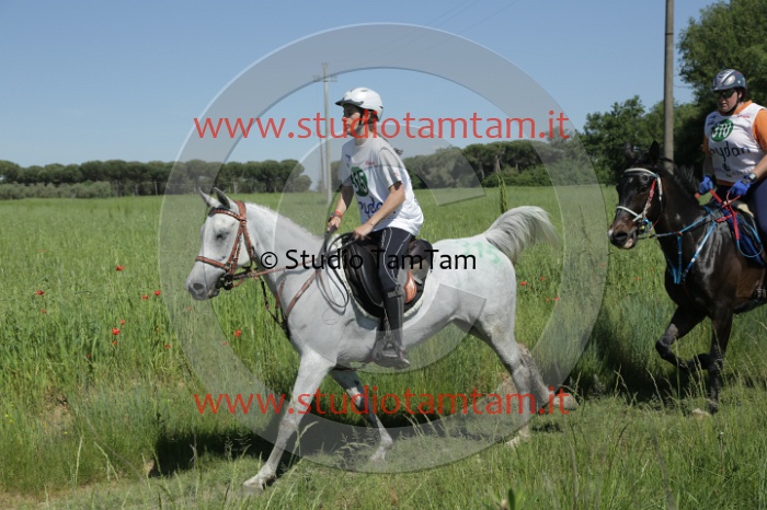 MAT_2954.JPG