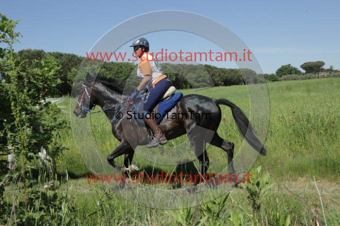 MAT_2963.JPG