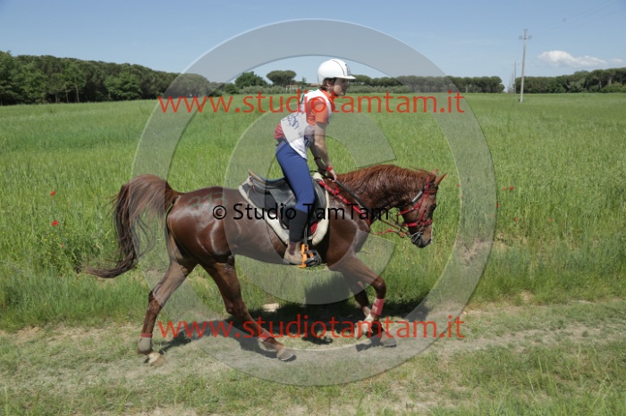 MAT_3278.JPG