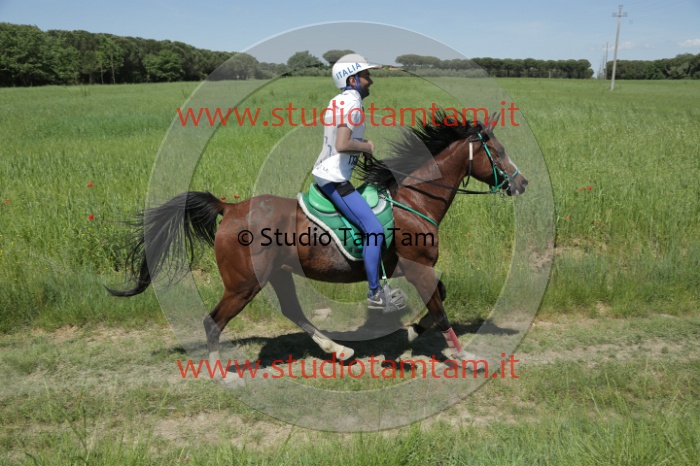 MAT_3332.JPG