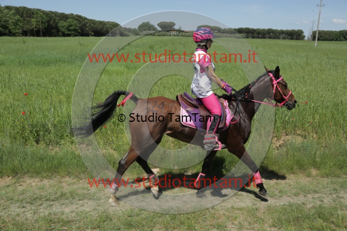 MAT_3393.JPG
