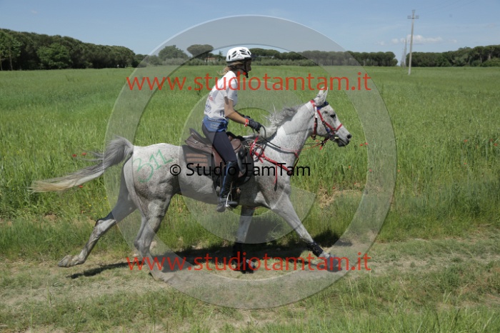 MAT_3449.JPG