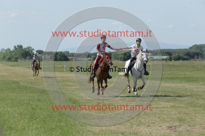 MAT_3739.JPG