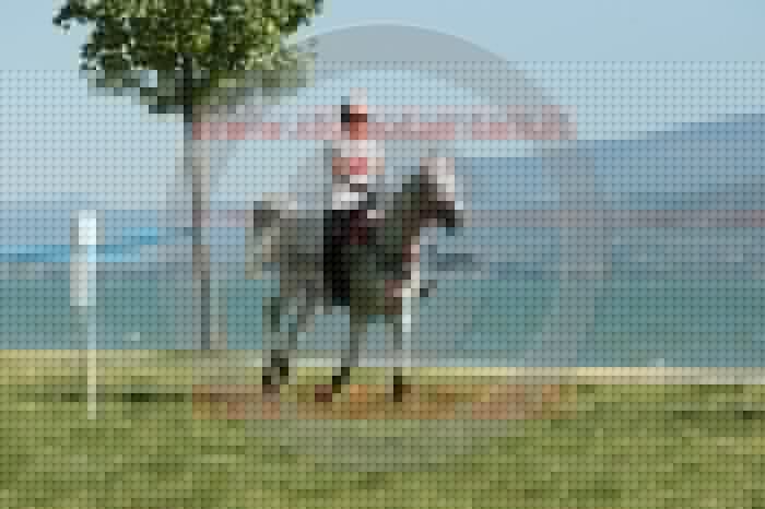 IMGB2005.JPG