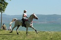 IMGB2011