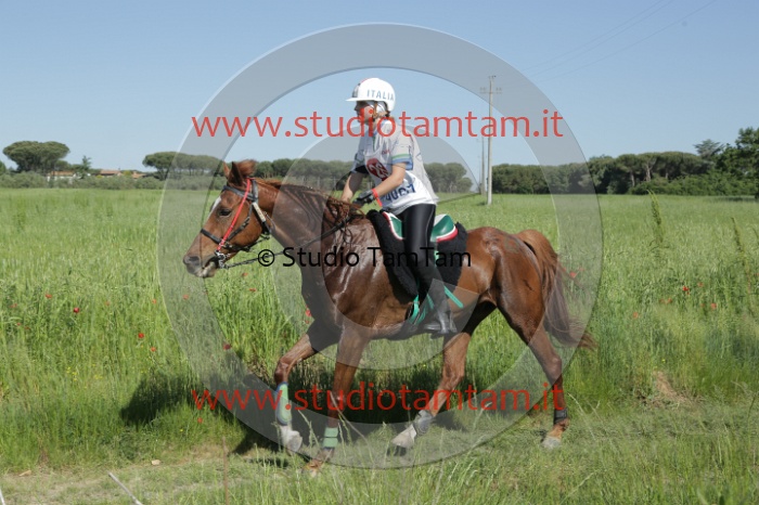 MAT_2492.JPG