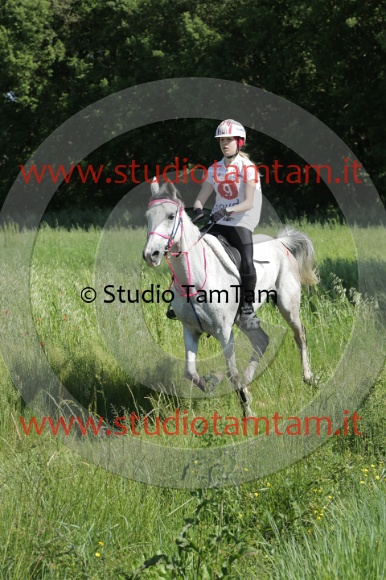 MAT_2568.JPG