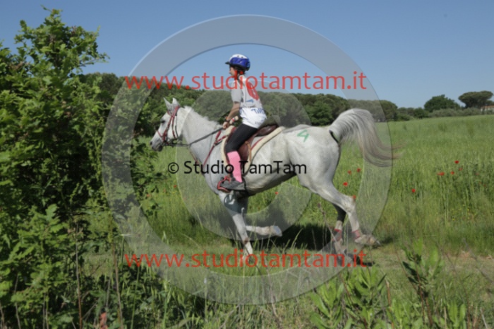 MAT_2589.JPG