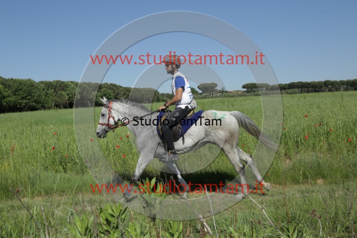 MAT_2600.JPG