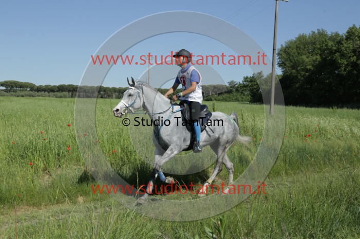 MAT_2657.JPG