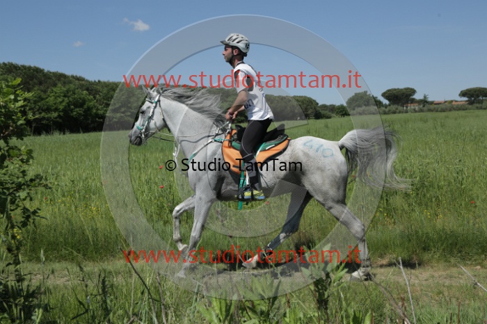 MAT_3301.JPG